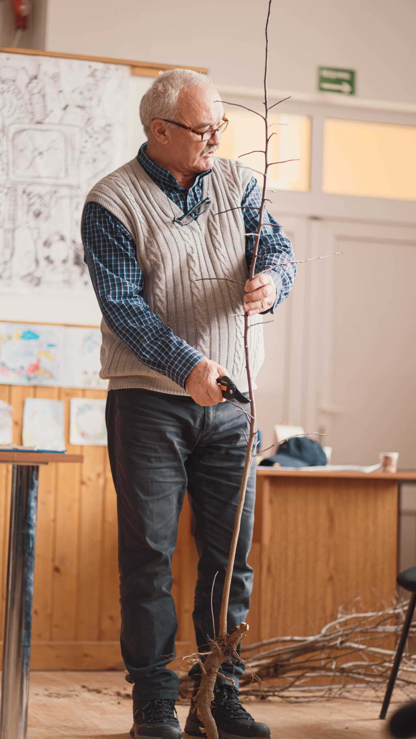 Gyümölcsfák oltása bemutató