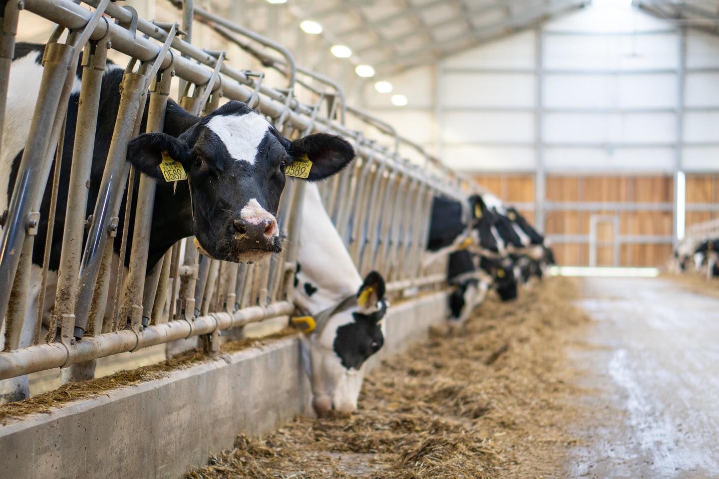 Precíziós gazdálkodás Mezőhegyesen