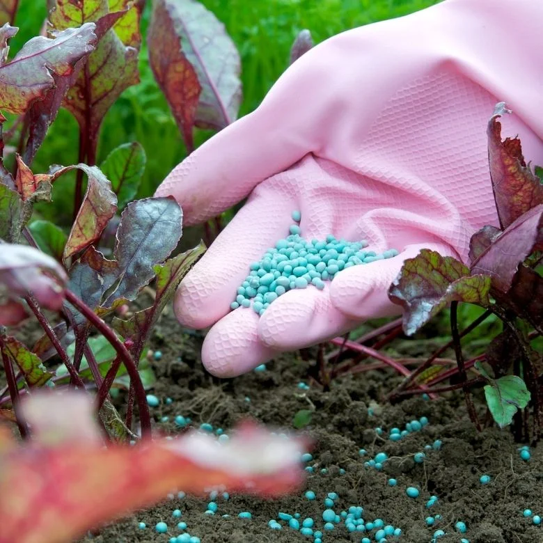 Márciusi műtrágyapiac