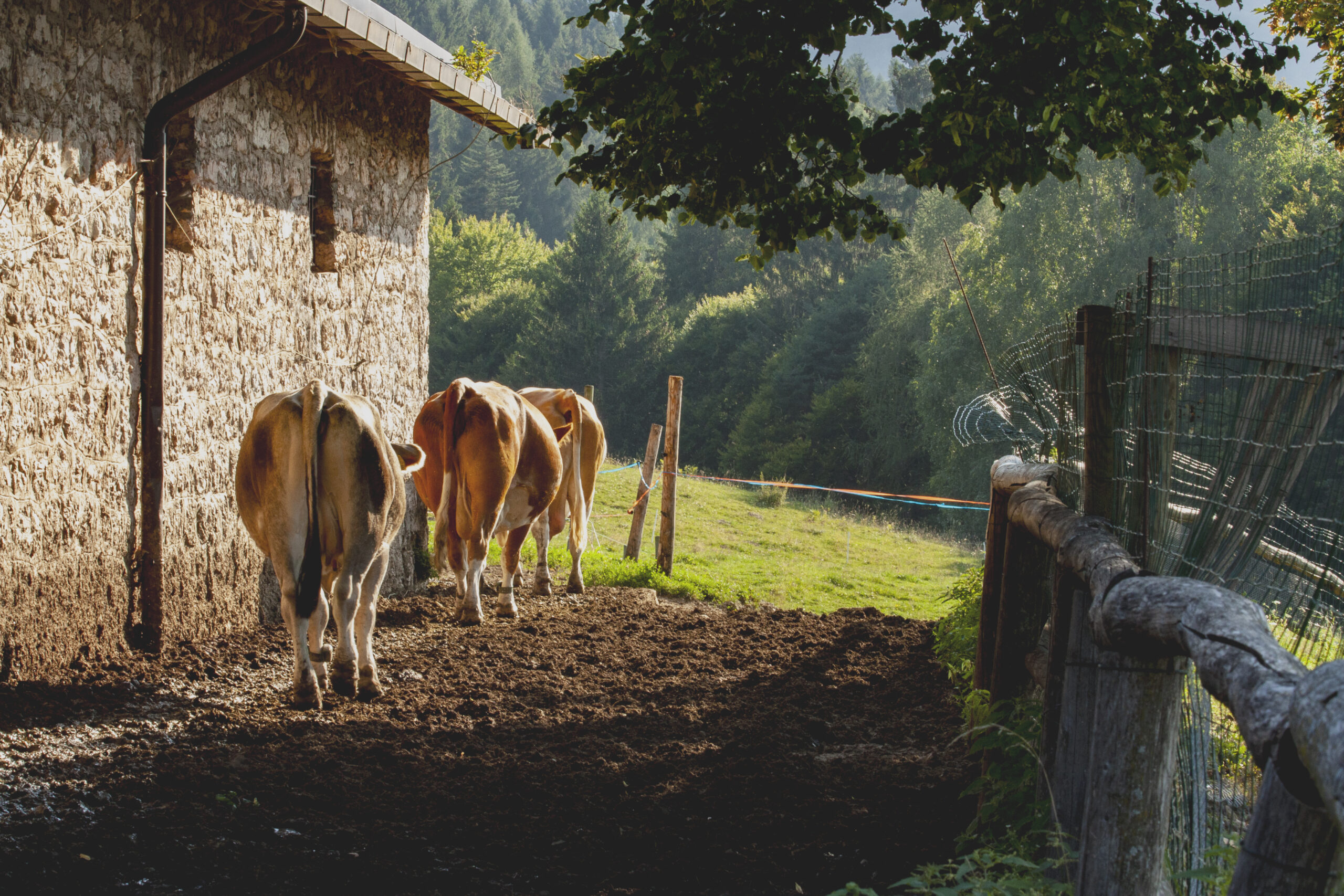 Kötelező nyilatkozat – határidő szeptember 30
