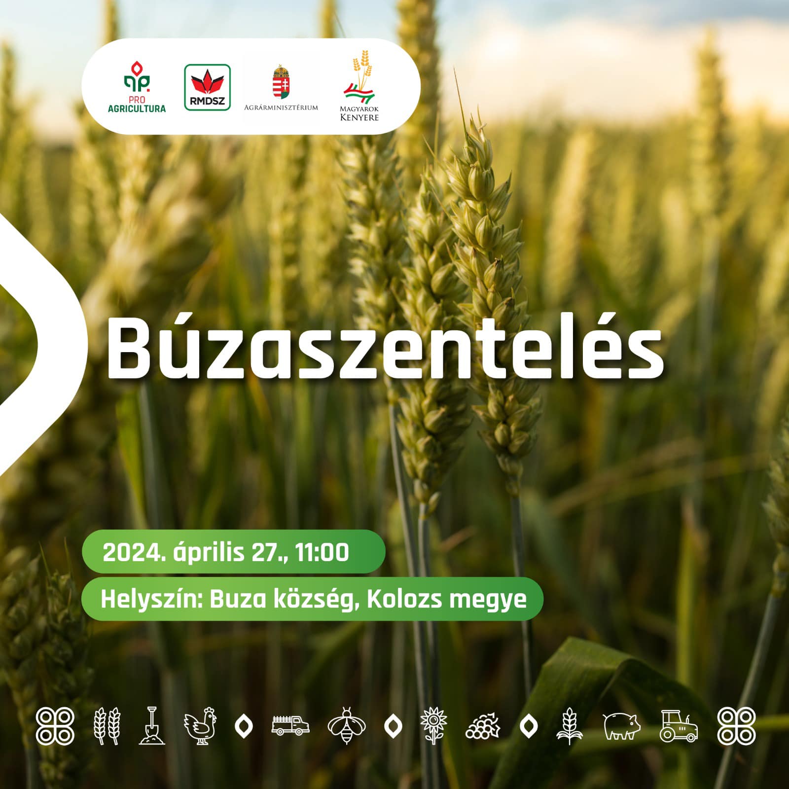 Magyarok kenyere – 15 millió búzaszem.
