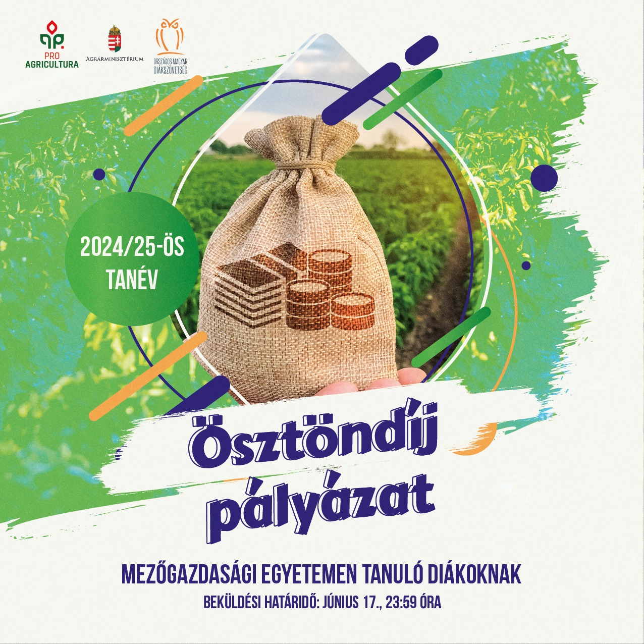 Ösztöndíj pályázatot hirdetünk