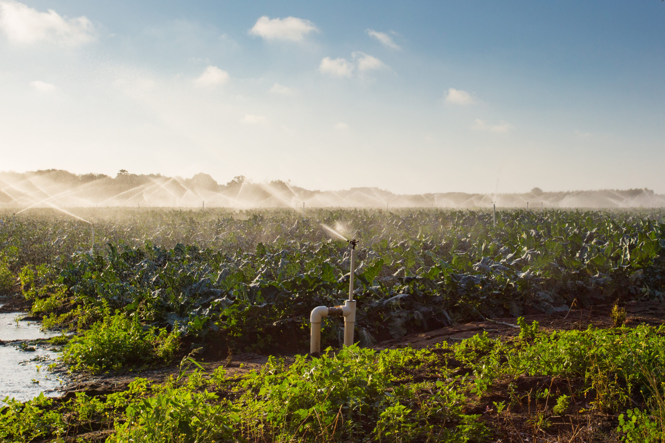 Műtrágyaárak alakulása: mire számíthatnak a gazdák?