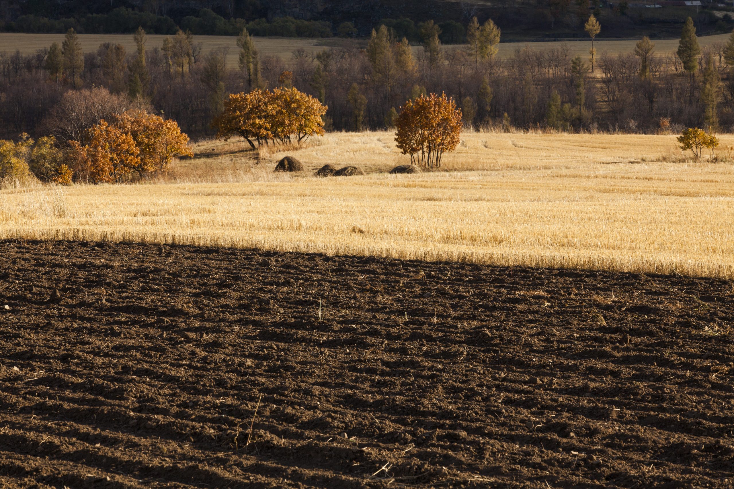 Az országban 536 településen folyik az ingyenes telekkönyvezés. A Pro Agricultura Egyesület működési területén található települések listája