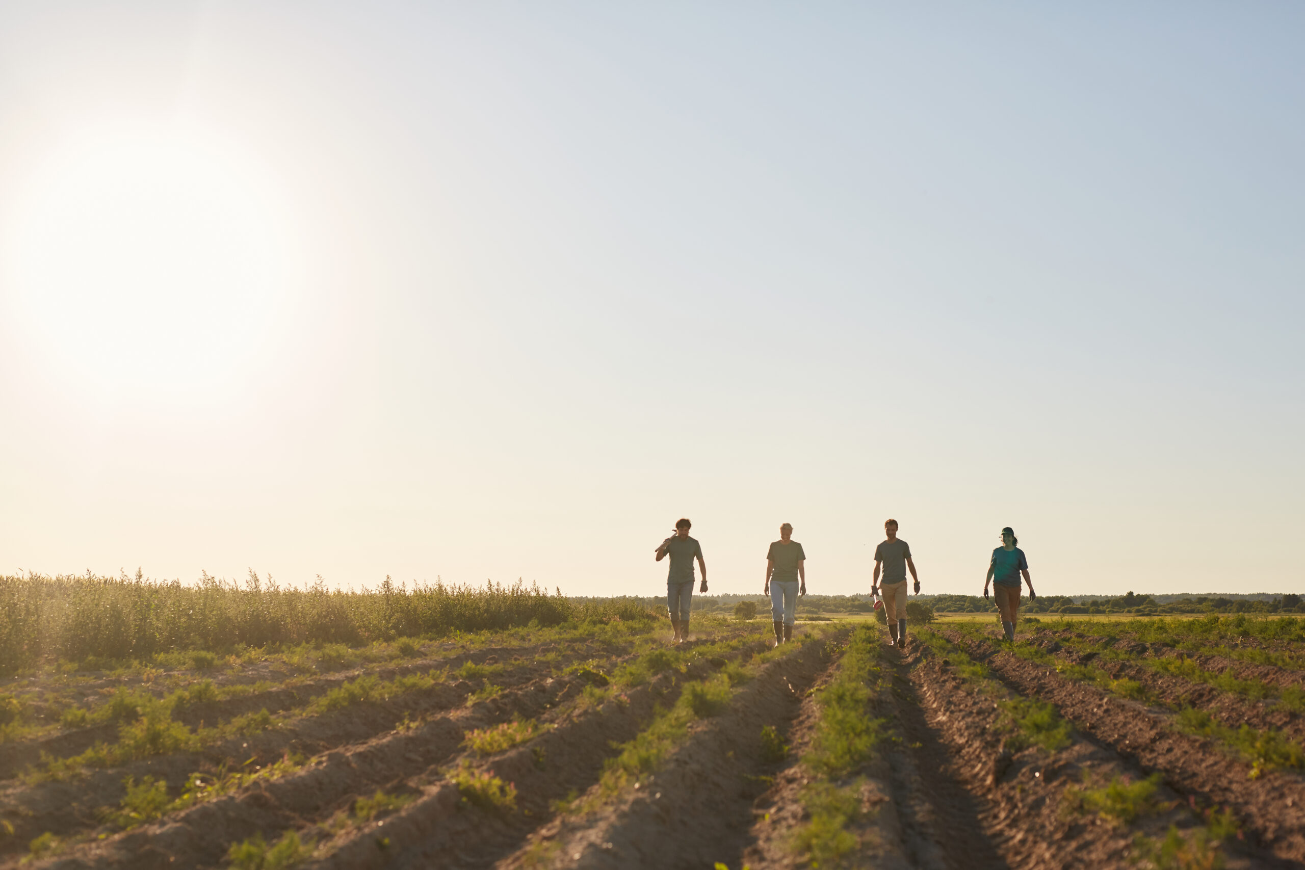 Okos mezőgazdaság Kínában