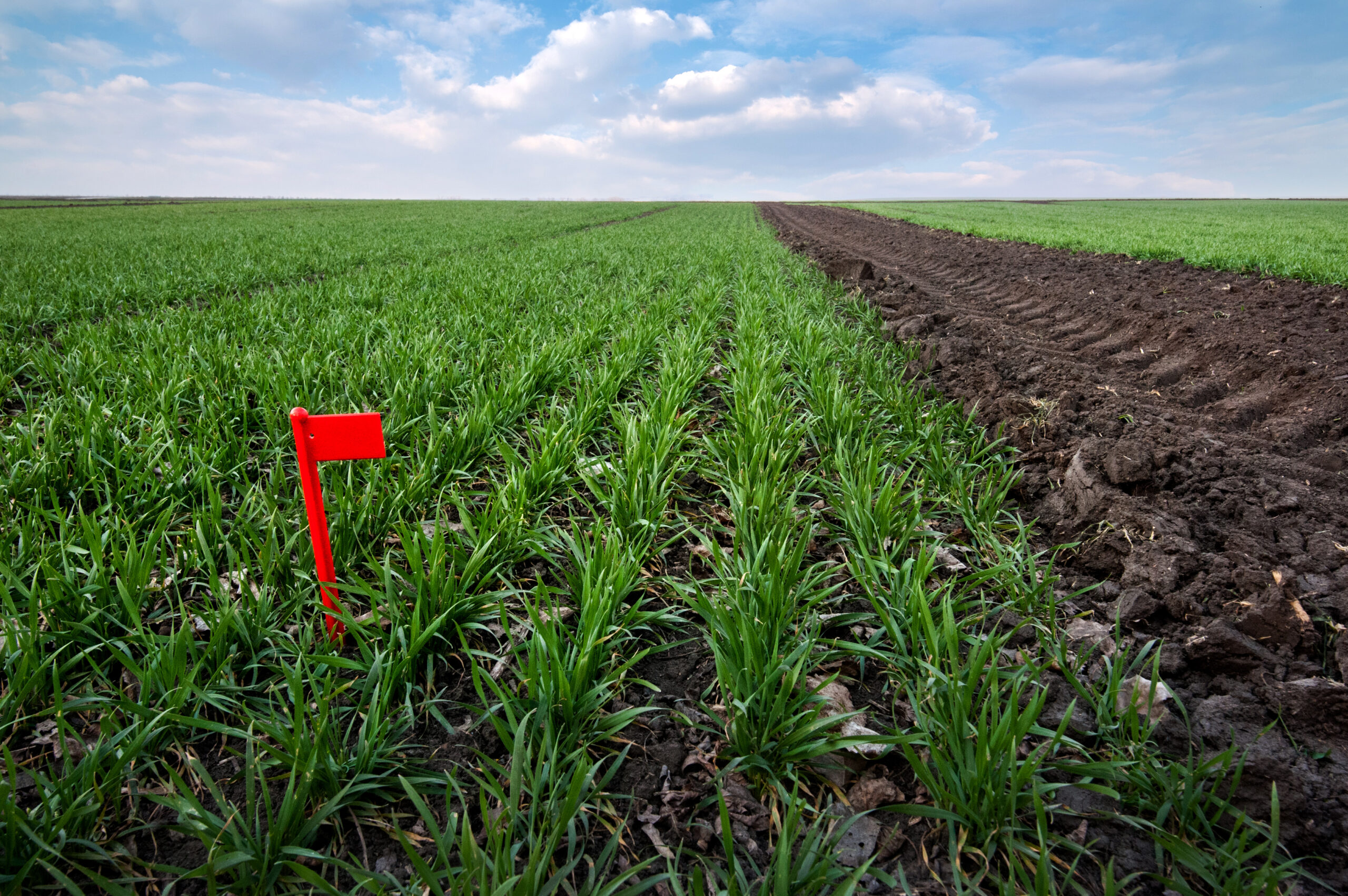 Szigorítás a növényvédő szerek használatában: súlyos bírságok és támogatásmegvonás fenyegeti a gazdákat