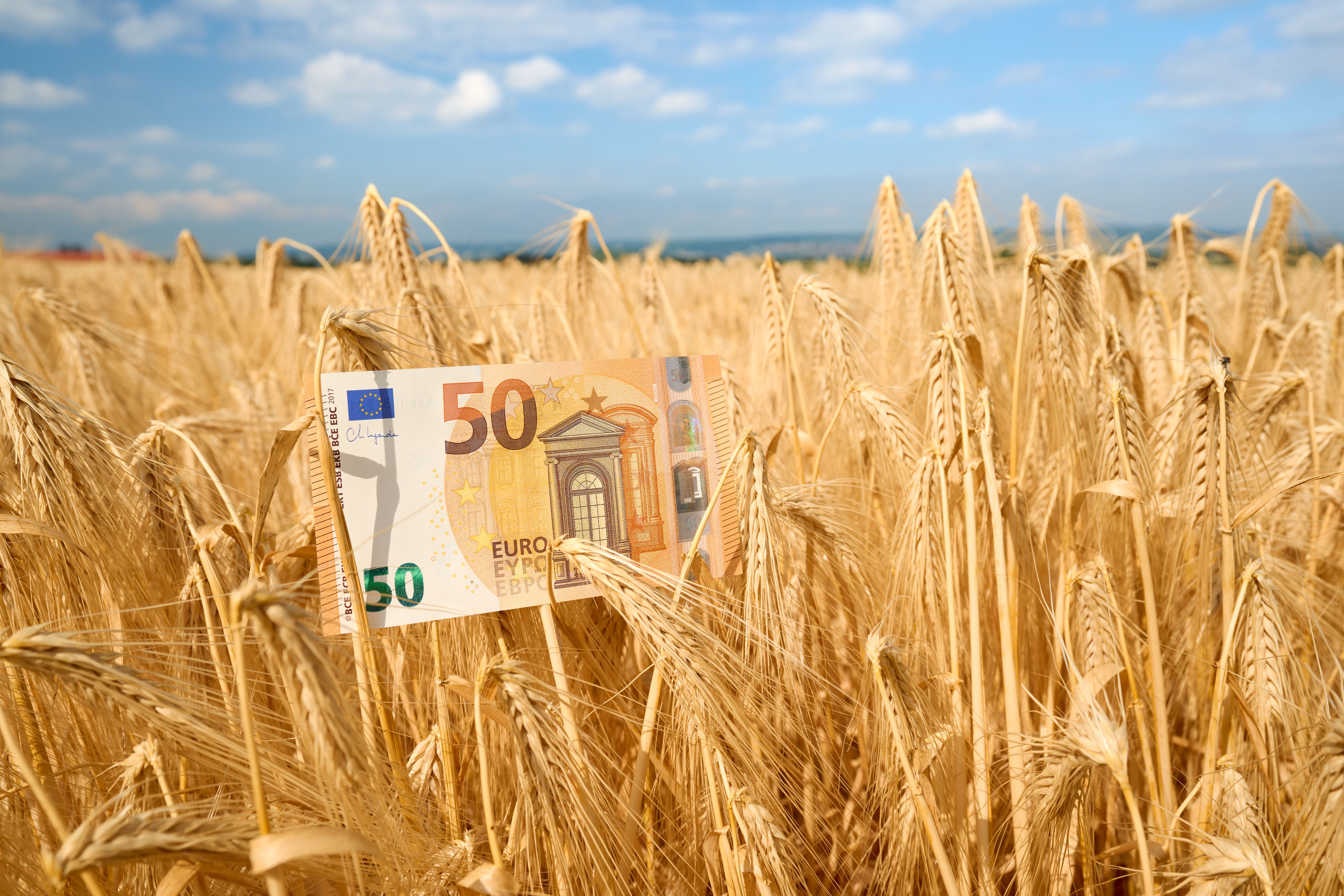 Mercosur-megállapodás: új versenyhelyzet az európai gazdák számára