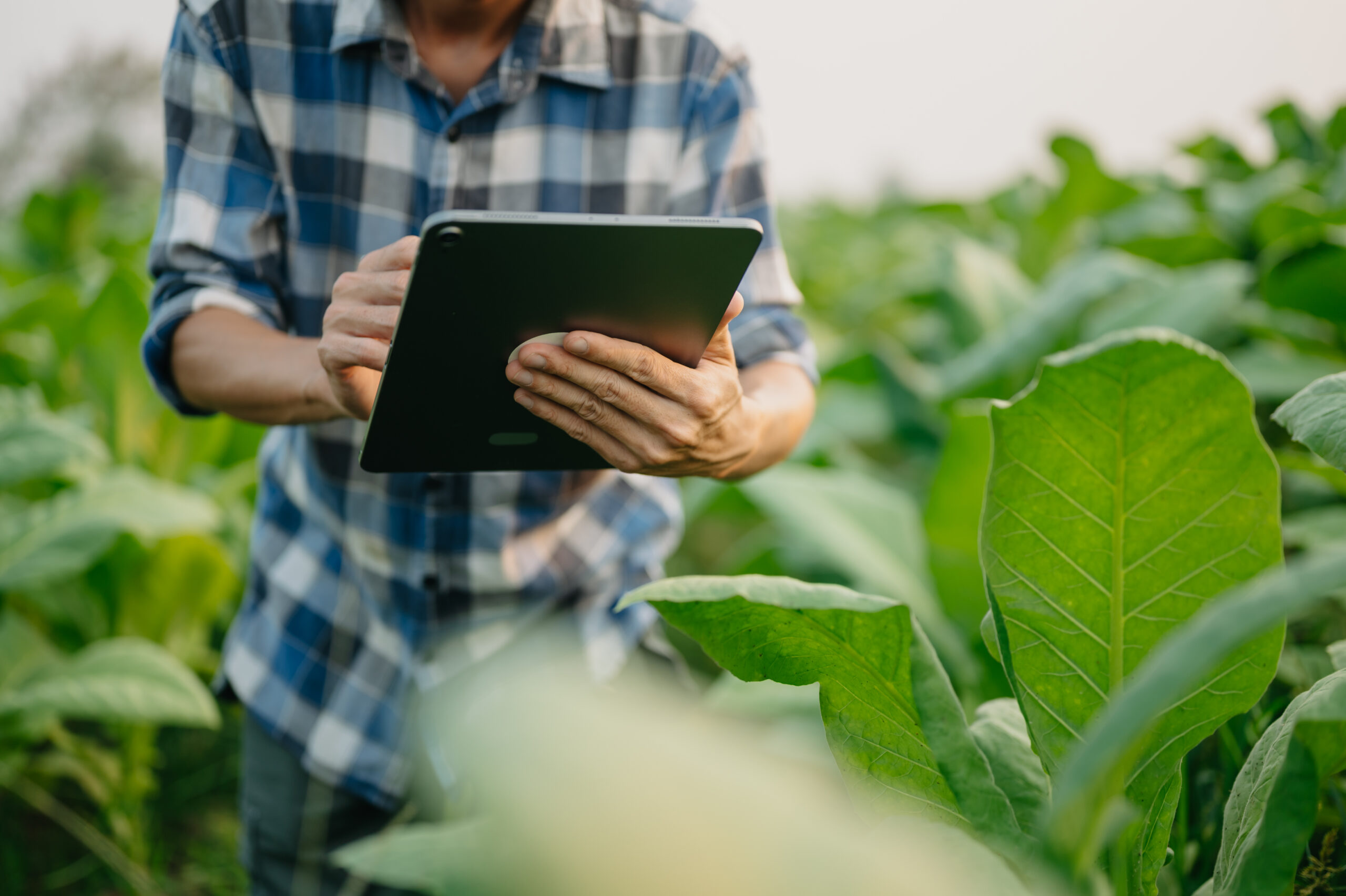 Kötelező e-számlára váltás a kisgazdálkodóknak – megjelent a határidő a Hivatalos Közlönyben